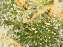 190929_193558_cleaned.jpg