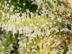 190929_193612_cleaned.jpg