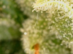 190929_193721_cleaned.jpg