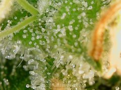 190929_193817_cleaned.jpg