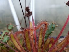20160902_201428.jpg