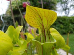20170530_090936.jpg