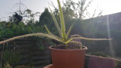 20170828_184250.jpg
