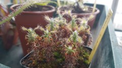 20170828_184314.jpg