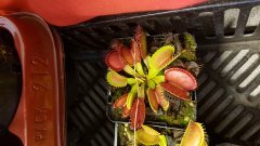 20170930_095344.jpg