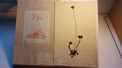 20170930_153001.jpg