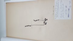 20170930_154631.jpg