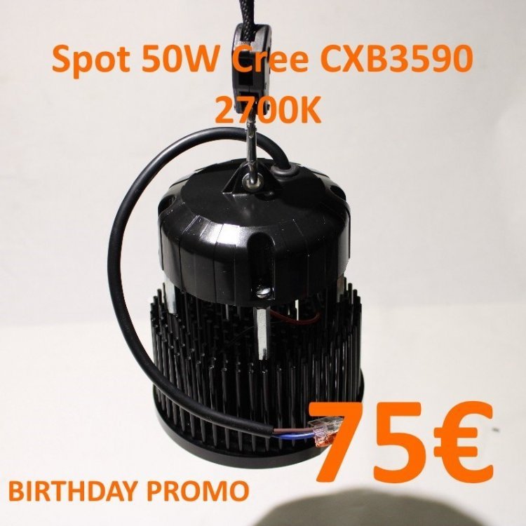 spot_Cree_CXB3590_2700_50W.jpg