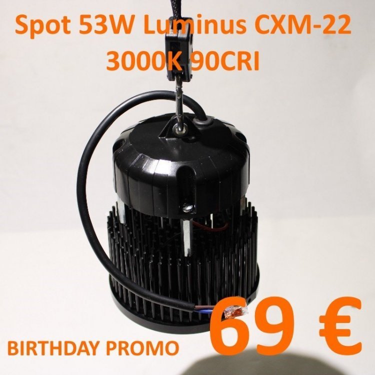 spot_Luminus_CXM-22_53W.jpg