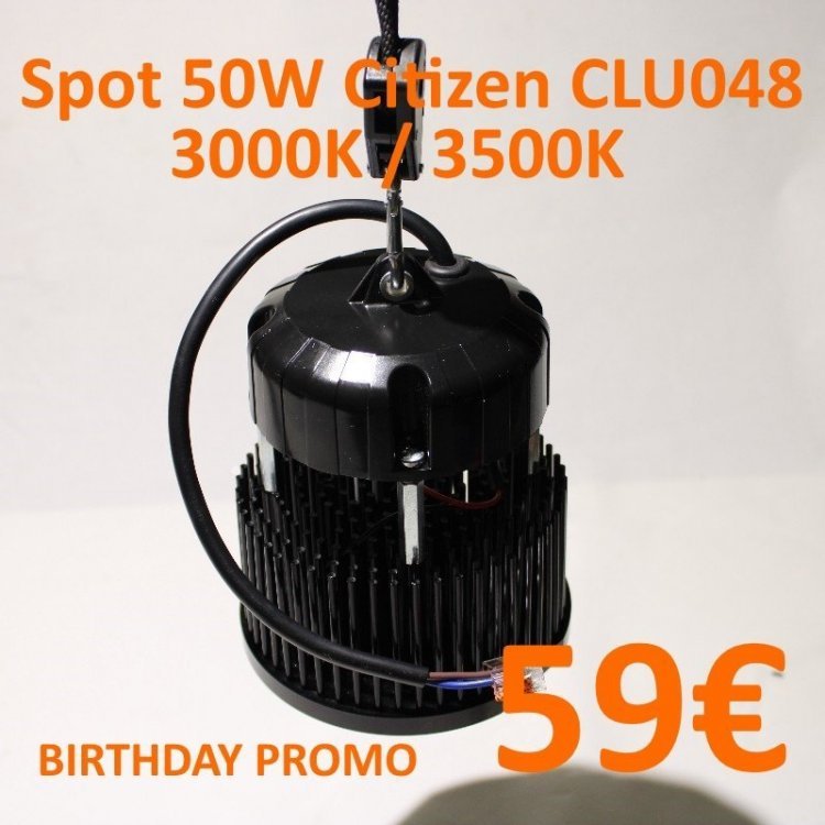 spot_citizen_clu048_50W.jpg