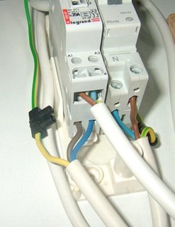 05.jpg