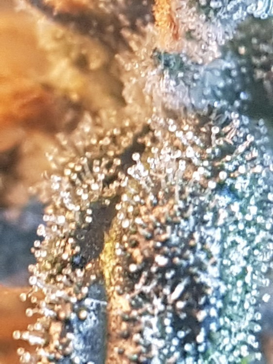 20190929_170855.jpg
