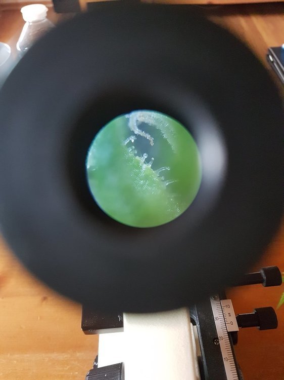 20191005_153741.jpg