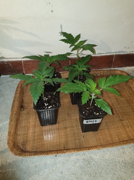 20191013_162816-min.jpg