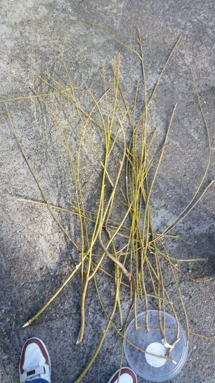 20191023_154727.jpg