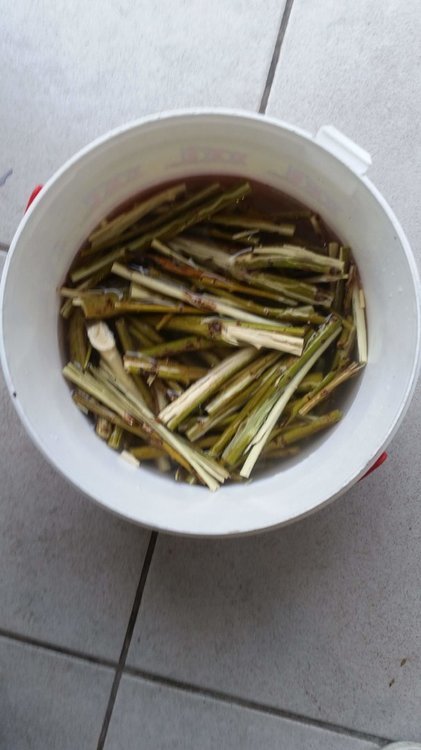20191023_163056.jpg