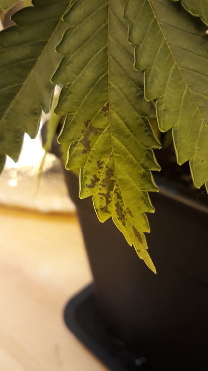 20191026_183846.jpg