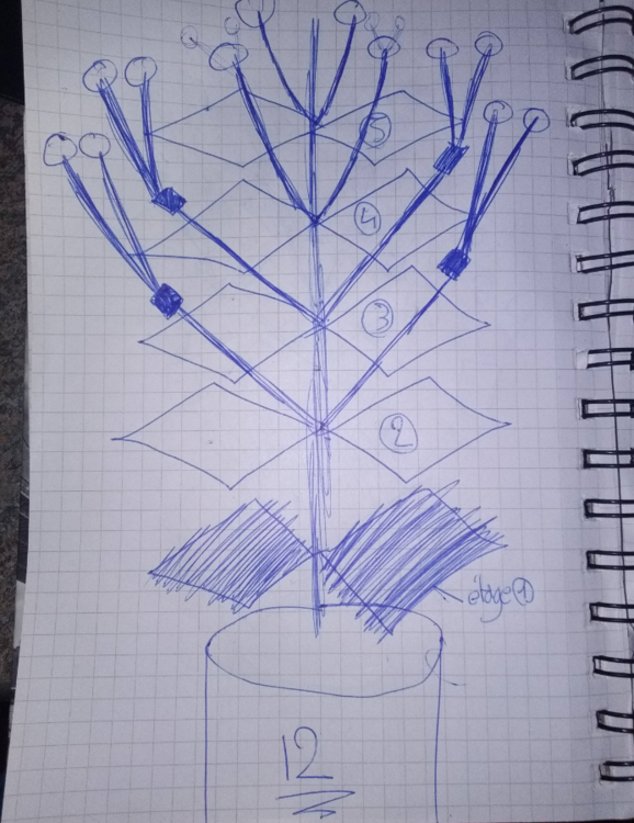 Capture7.thumb.PNG.85d7200499bada96c67c6ab76a67da0f.PNG