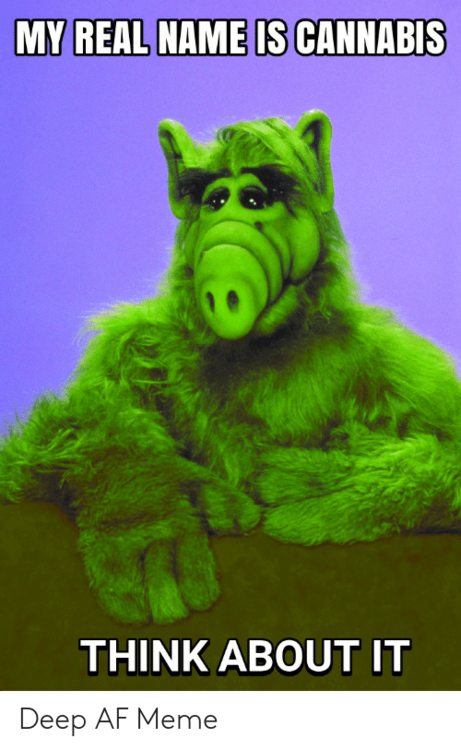 my-real-name-is-cannabis-think-about-it-deep-af-61936347.png
