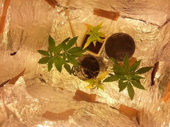20150126_030852.jpg
