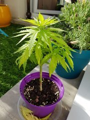 20180615_190618.jpg