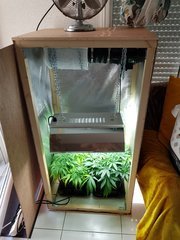 20180629_190311.jpg