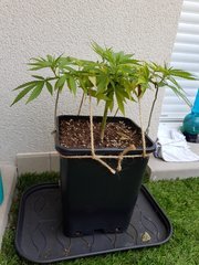 20180707_093207.jpg