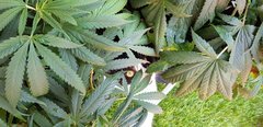 20180725_123311.jpg