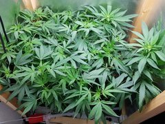 20181006_154636.jpg
