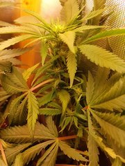 20181008_132414.jpg