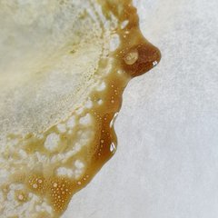 20190823_145653_crop_78.jpg