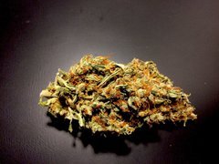 Strawberry Amnesia - Dinafem