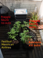 DSCN1153.JPG