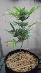 DSCN1159.JPG