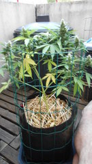 DSCN1161.JPG