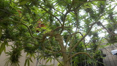 DSCN1247.JPG
