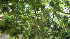 DSCN1250.JPG