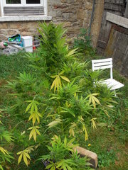 DSCN3945.JPG