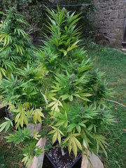 DSCN3947.JPG