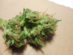 DSCN4017.JPG
