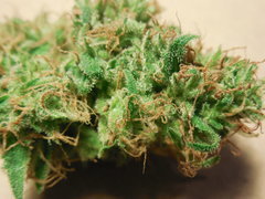 DSCN4022.JPG