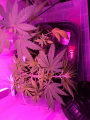 IMG_20180412_094052.jpg