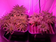 IMG_20180426_093032.jpg