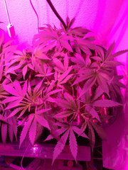 IMG_20180502_013842.jpg