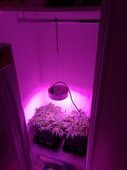 IMG_20180502_013931.jpg