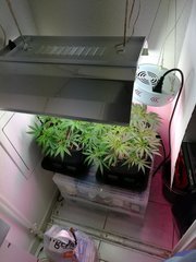 IMG_20180503_001215.jpg