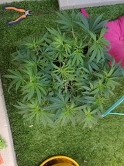 IMG_20180506_124154.jpg