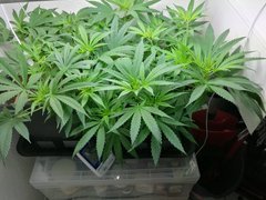 IMG_20180511_090738.jpg