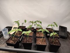 IMG_20191027_162720.jpg