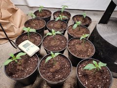 IMG_20191028_202931.jpg